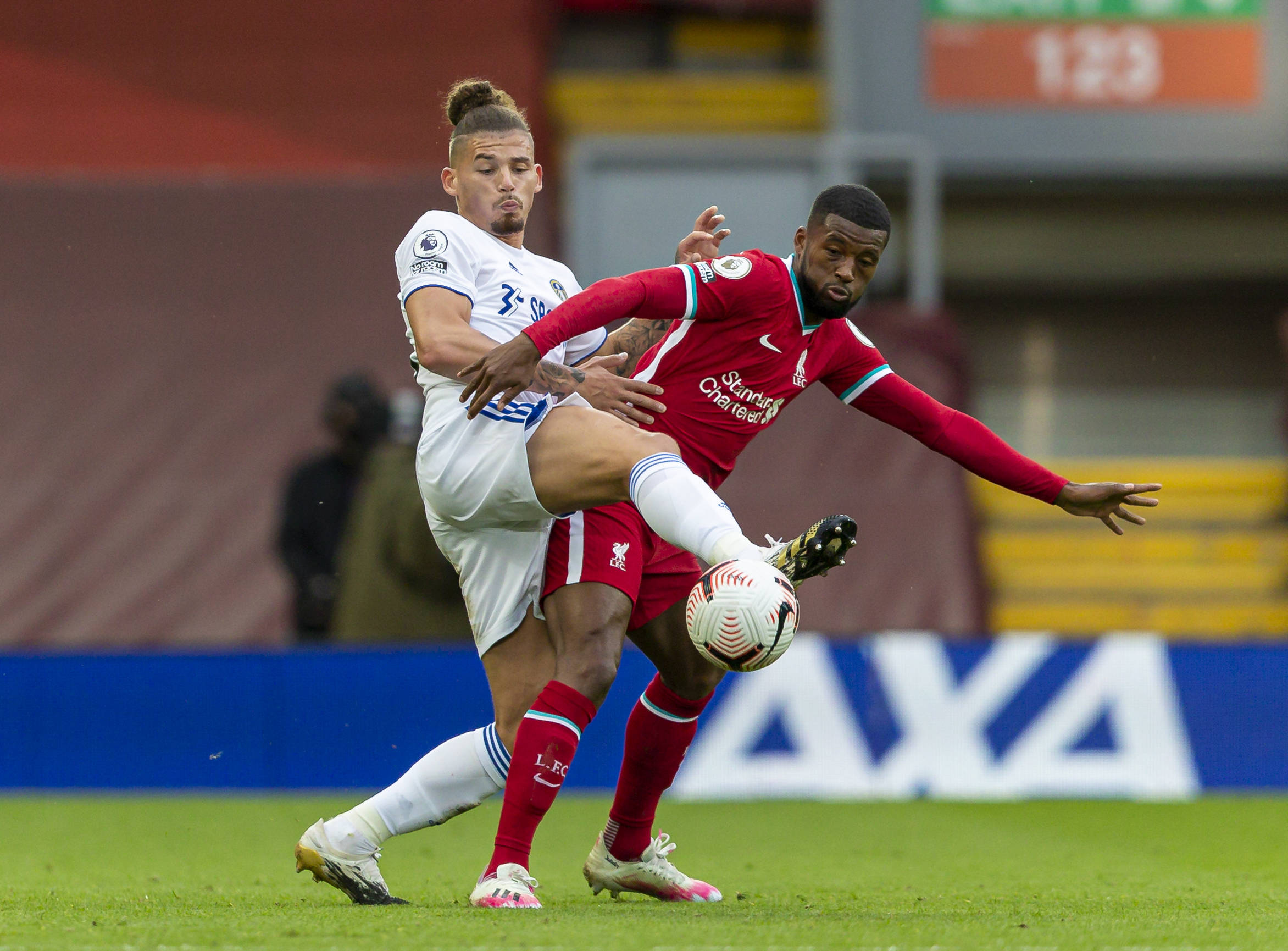 他率队赢得 他率队赢得